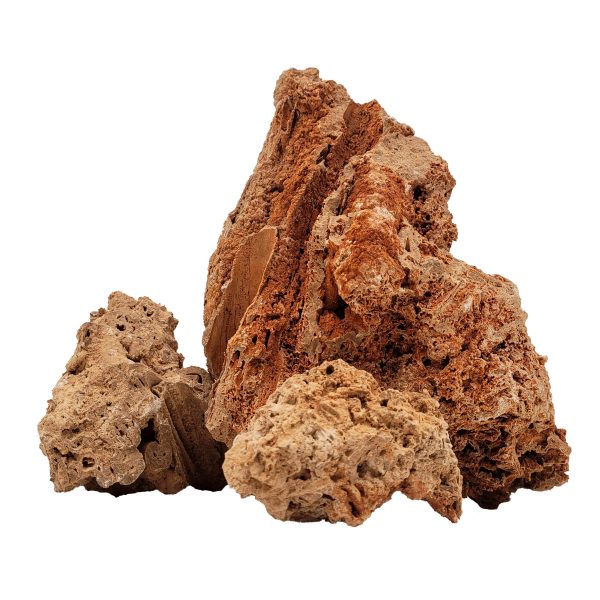 WIO PALEOROCK STONE 10-30CM 1KG sklep akwarystyczny śląsk
