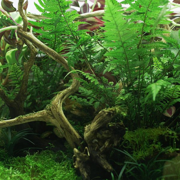 YOKUCHI HAISUI BASE 2L - podłoże drenażowe do terrarium sklep premium dla akwarystów