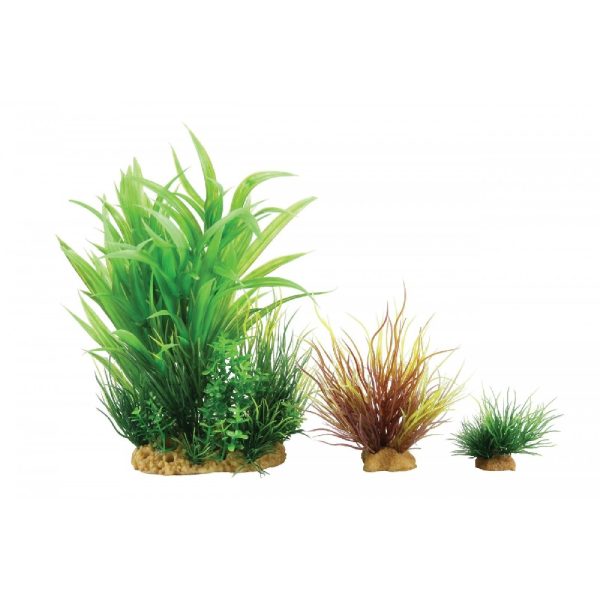 ZOLUX Dekoracja roślinna PLANTKIT WIHA model 2 (352141) sklep premium dla akwarystów