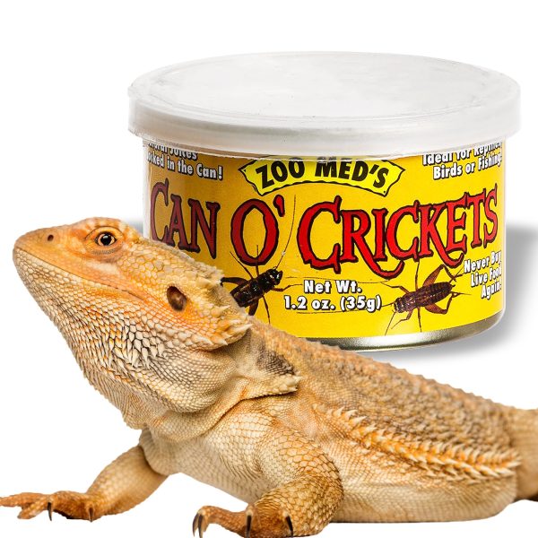 Zoomed Can O' Crickets Medium - pokarm w puszcze świerszcze średnie sklep premium dla akwarystów