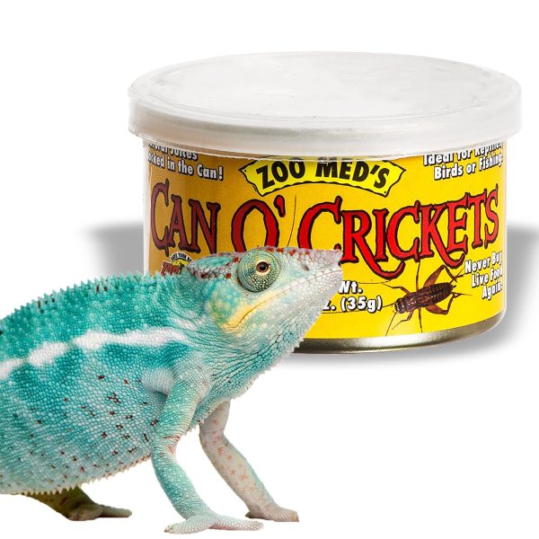 ZOOMED PUSZKA ZOLTA CAN CRICKETS sklep akwarystyczny / terrarystyczny