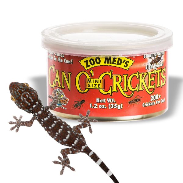 Zoomed Can O' Crickets Small - pokarm w puszcze świerszcze małe sklep premium dla akwarystów