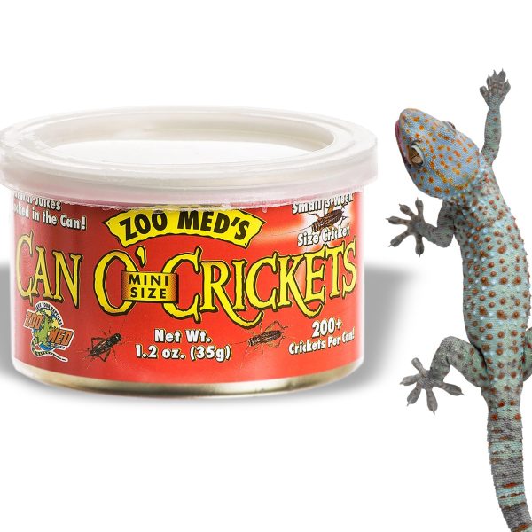 ZOOMED PUSZKA CZERWONA CAN CRICKETS MINI SIZE sklep akwarystyczny / terrarystyczny