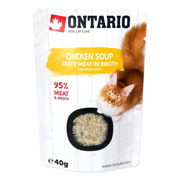 ONTARIO Cat Soup Chicken with vegetables 40g (213-3131) sklep akwarystyczny śląsk