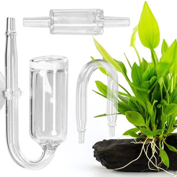 Akwarium / terrarium / Animals