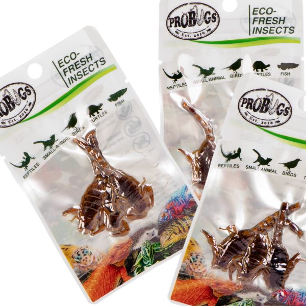 ProBugs Eco-Fresh Scorpion 15 x 3pcs - świeże skorpiony 15 saszetek sklep premium dla akwarystów