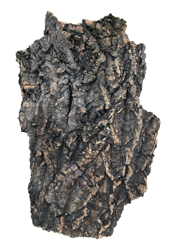 PROGROW CORK BARK 55-70CM 1KG sklep akwarystyczny śląsk