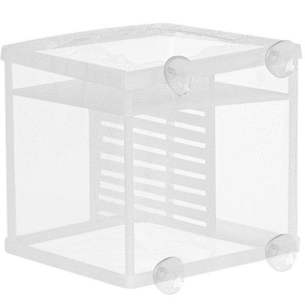 Akwarium / terrarium / Animals