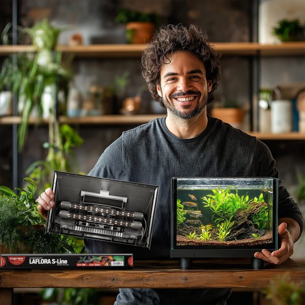 Akwarium / terrarium / Animals