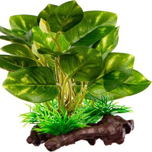 Kruger Meier Plant Ficus Root - roślinka sztuczna sklep akwarystyczny śląsk