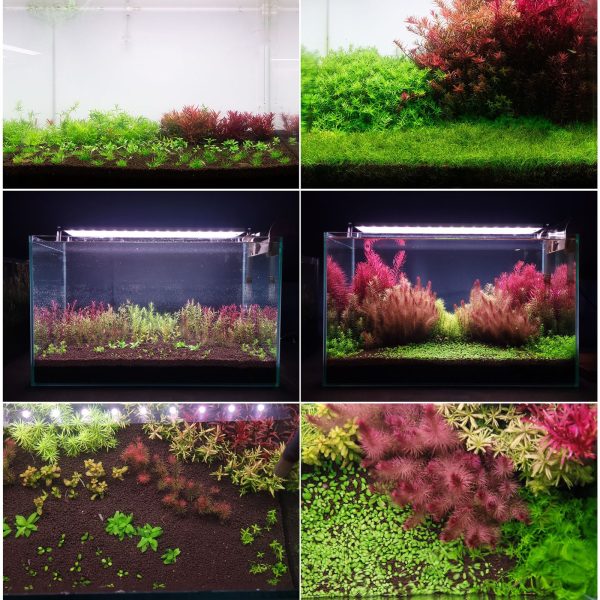 NEO SOIL PLANT NORMAL 3L sklep akwarystyczny / terrarystyczny