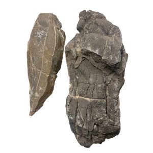 AKAISHI stone powyżej 25cm Naturalna skała 1kg (62906) sklep akwarystyczny śląsk