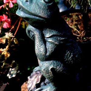 AQN F-FROGSITTING-MUL FIGURKA ŻABA sklep akwarystyczny śląsk