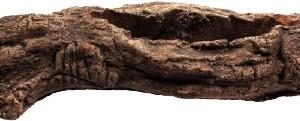 AQN N-22094 PODSTAWKA DO ROŚLIN 1 OTWÓR 20x3x4cm o sklep akwarystyczny śląsk