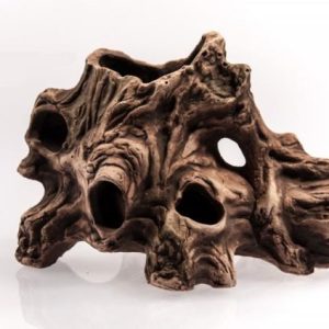 AQN N-28018  KORZEŃ DZIURAWY 13x19x11cm