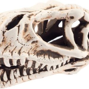 AQN N-28065 CZASZKA DINOZAURA 14x7x7 opakowanie fo sklep akwarystyczny śląsk