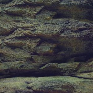 AQN TŁO ROCK/PLANTS XL 150x60cm sklep akwarystyczny śląsk