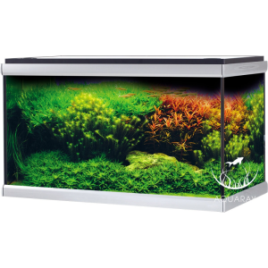 Akwarium MOVE Czarne 100x50x59 cm 275 litrów (A90100B)