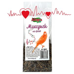 Alegia - Murzynek na śpiew dla papug sklep akwarystyczny śląsk