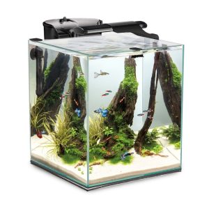 Aquael Fish&Shrimp Set DUO Czarny Zestaw Akwarium 49l sklep akwarystyczny śląsk