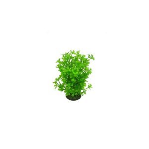 Aquael Roślina Kępkowa CP-057 6 (15cm) sklep akwarystyczny śląsk