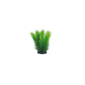 Aquael Roślina Kępkowa PR-402 4 (10cm) sklep akwarystyczny śląsk