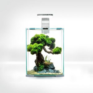 Aquael Shrimp Set 10L Biały Day/Night 20x20x25cm sklep akwarystyczny śląsk