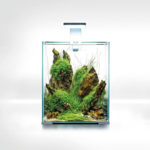 Aquael Shrimp Set 20L Biały Day/Night 25x25x30cm sklep akwarystyczny śląsk