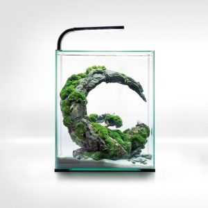 Aquael Shrimp Set 30L Czarny Day/Night 29x29x35cm sklep akwarystyczny śląsk
