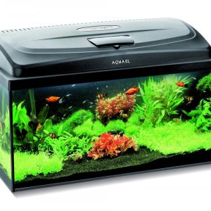 Aquael Zestaw Akwar. Classic Box 60 PAP LT sklep akwarystyczny śląsk