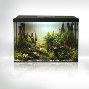 Aquael Zestaw Akwar. Leddy PAP-40XL LED D&N sklep akwarystyczny śląsk