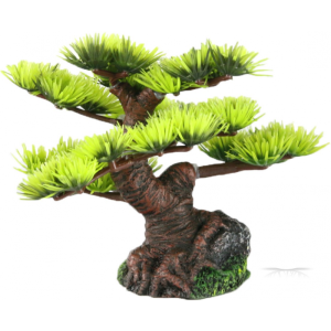 BONSAI MINI / Drzewo Bonsai S IGŁY 9