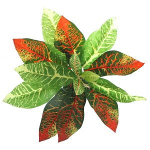 Bello Plant - Flame GreenPlant - roślina XL do obrazów 3D sklep akwarystyczny śląsk