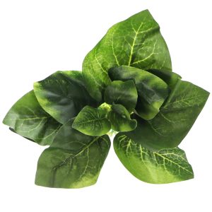 Bello Plant - Fresh Spring Flora - roślina M do obrazów 3D sklep akwarystyczny śląsk