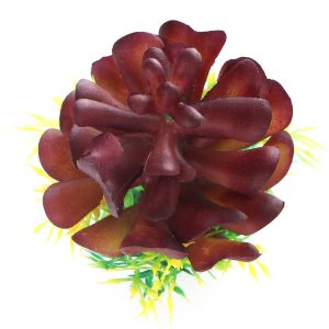 Bello Plant - Purple Royal Tree - roślina S do obrazów 3D sklep akwarystyczny śląsk