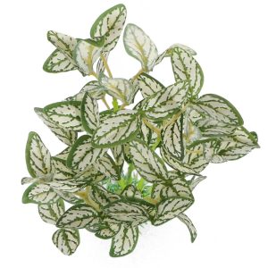 Bello Plant - Snow Flakes Plant - roślina L do obrazów 3D sklep akwarystyczny śląsk
