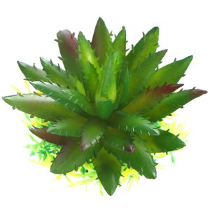 Bello Plant - Spiky Cactus - roślina S do obrazów 3D sklep akwarystyczny śląsk