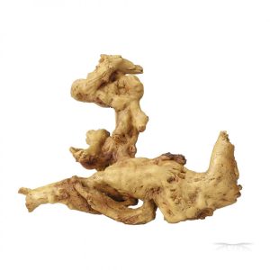 COFFEE ROOT 2 / Korzeń Coffie 2 - 20x10x21cm (234-421604)