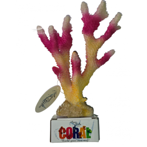 CORAL-MODULE -XL- birdnest coral / Koral XL 26x18 (234-426418)
