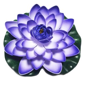Deep Aqua Lilia do Oczka Wodnego Niebieska 28cm sklep akwarystyczny śląsk