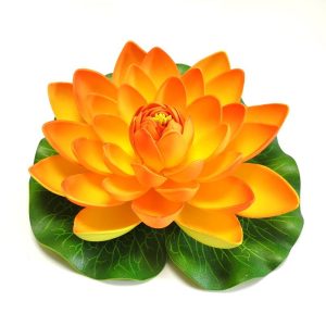 Deep Aqua Lilia do Oczka Wodnego Pomarańczowa 17cm sklep akwarystyczny śląsk