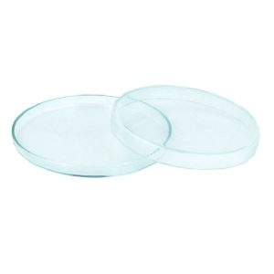 Deep Aqua Szklany Karmnik Karmidło Krewetki 42/12mm sklep akwarystyczny śląsk