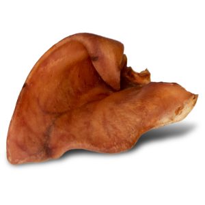 Dogario Bonni Pig's Ear L - duże wieprzowe ucho oferta hurtowa x50 sklep akwarystyczny śląsk