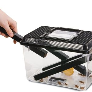 EXO TERRA Cricket Pen L Terrarium na karmówkę (30x20