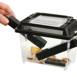 EXO TERRA Cricket Pen S Terrarium na karmówkę (18x14x11cm) sklep akwarystyczny śląsk