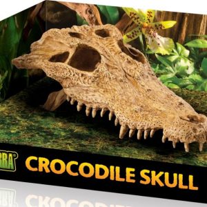 EXO TERRA Crocodile Skull (czaszka krokodyla) sklep akwarystyczny śląsk