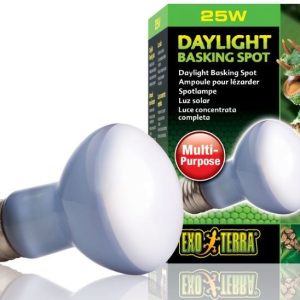 EXO TERRA Daylight 25W (żarówka grzewcza neodymowa) sklep akwarystyczny śląsk