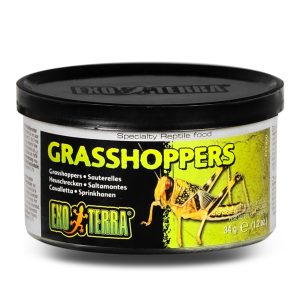 EXO TERRA Grasshoppers - pokarm w puszce konik polny sklep akwarystyczny śląsk