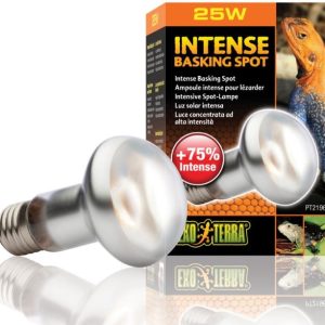 EXO TERRA Intense Basking Spot 25W (żarówka grzewcza) sklep akwarystyczny śląsk