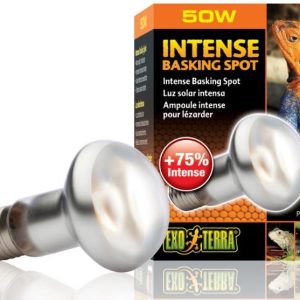 EXO TERRA Intense Basking Spot 50W (żarówka grzewcza) sklep akwarystyczny śląsk